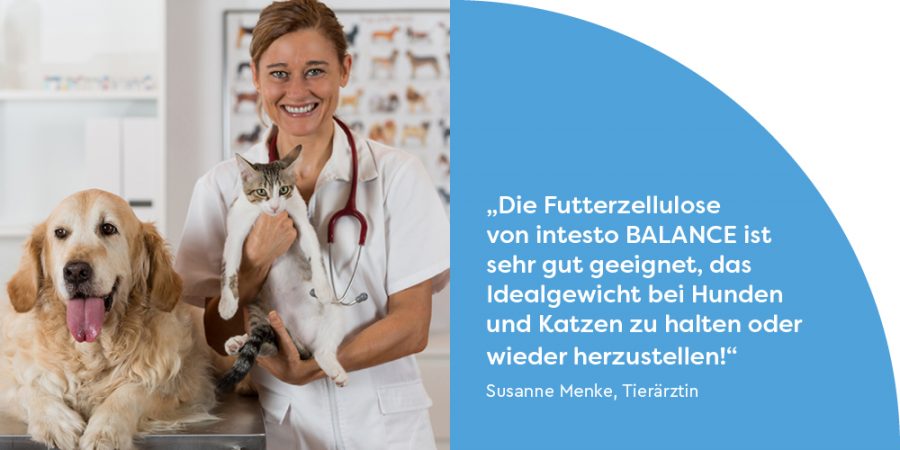 Intesto Futterzellulose Erfolgreiche Gewichtsreduktion bei Hund und Katze